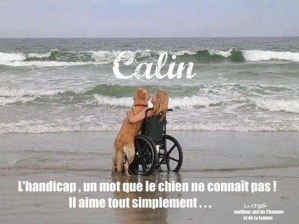 L�handicap&hellip;