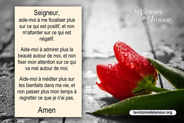 Citation Du Matin