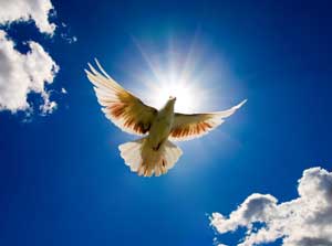 Www meditation de
